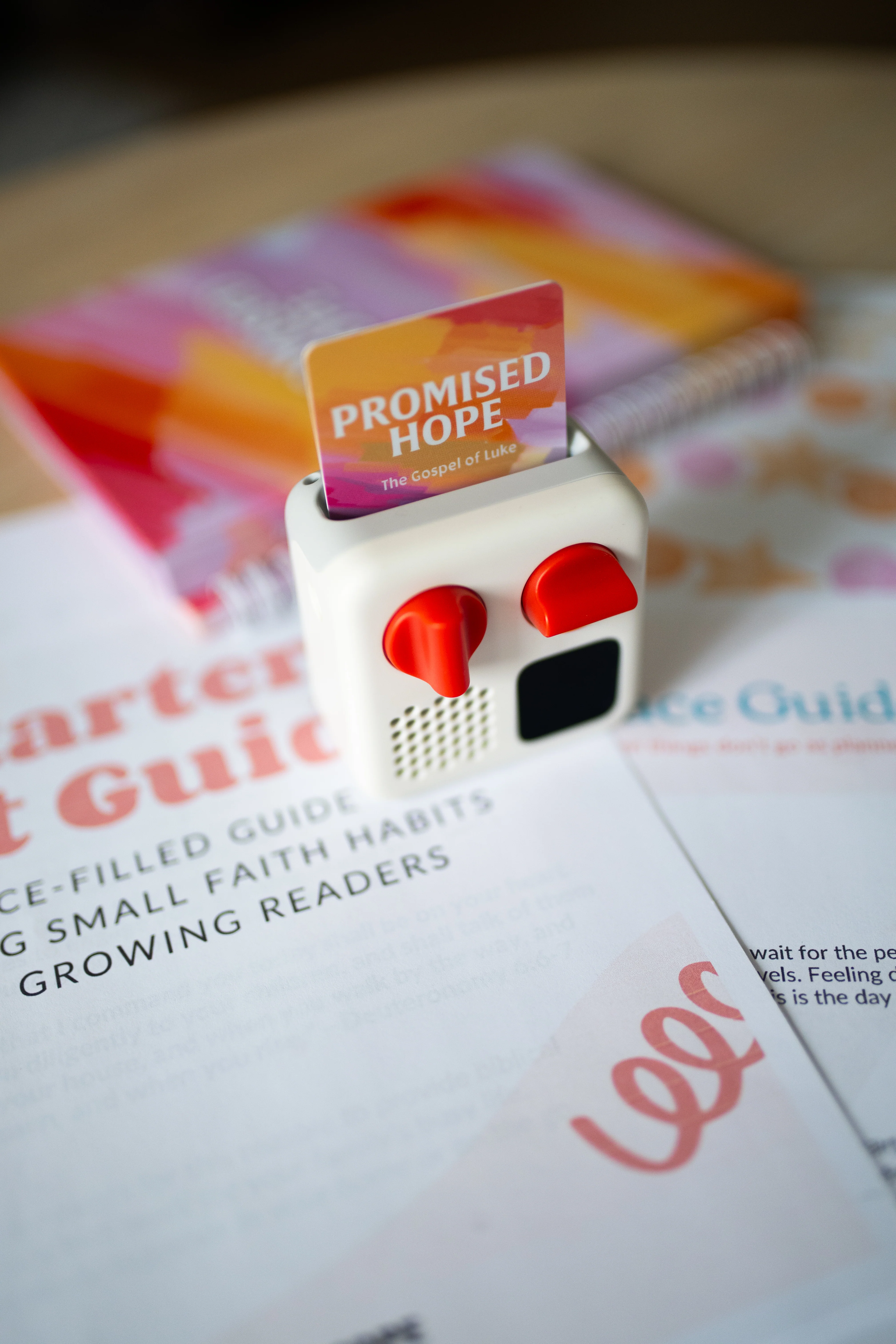 Mini Starter Kit - Image 3