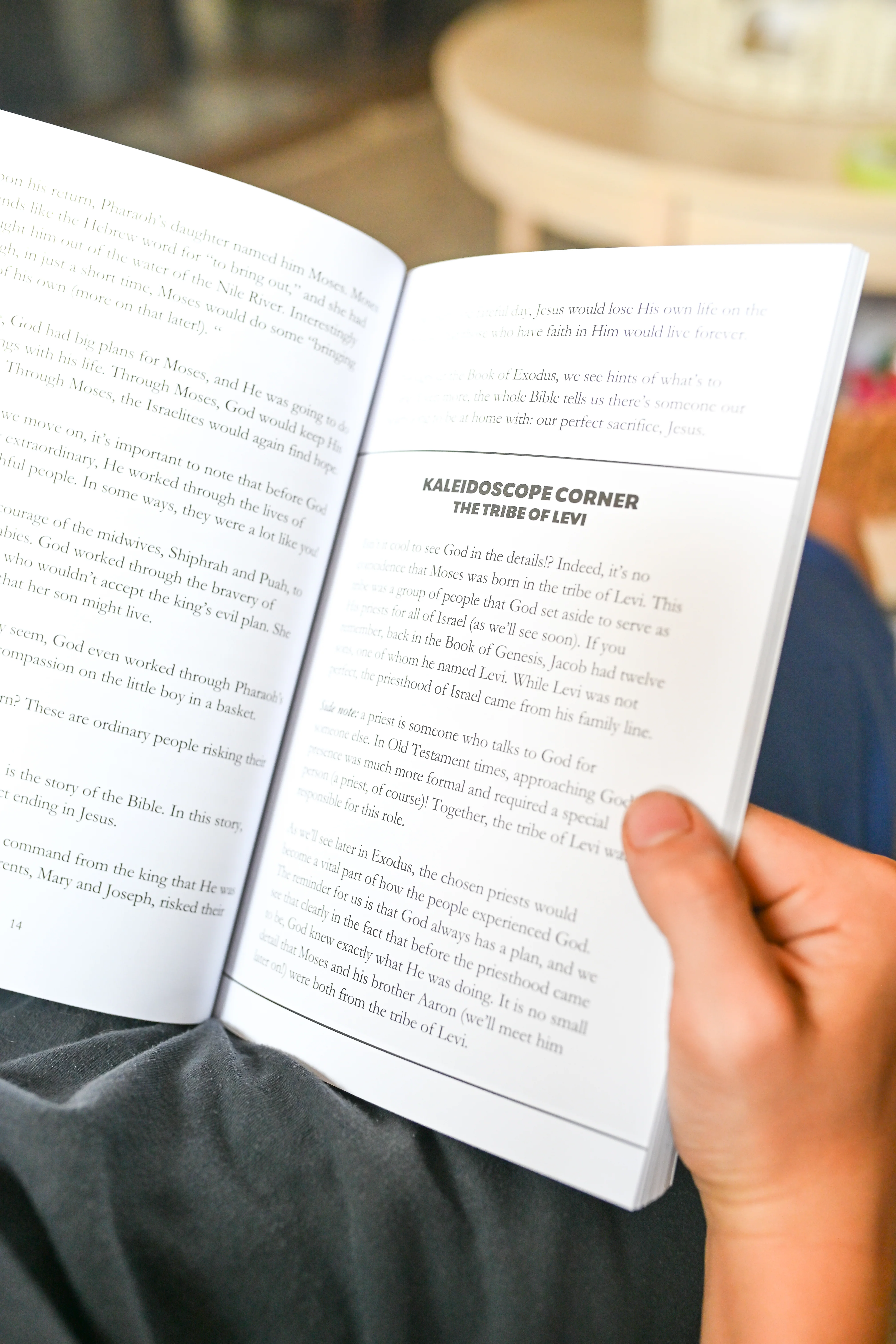 Finally Free: Exodus Bible Study - Image 5
