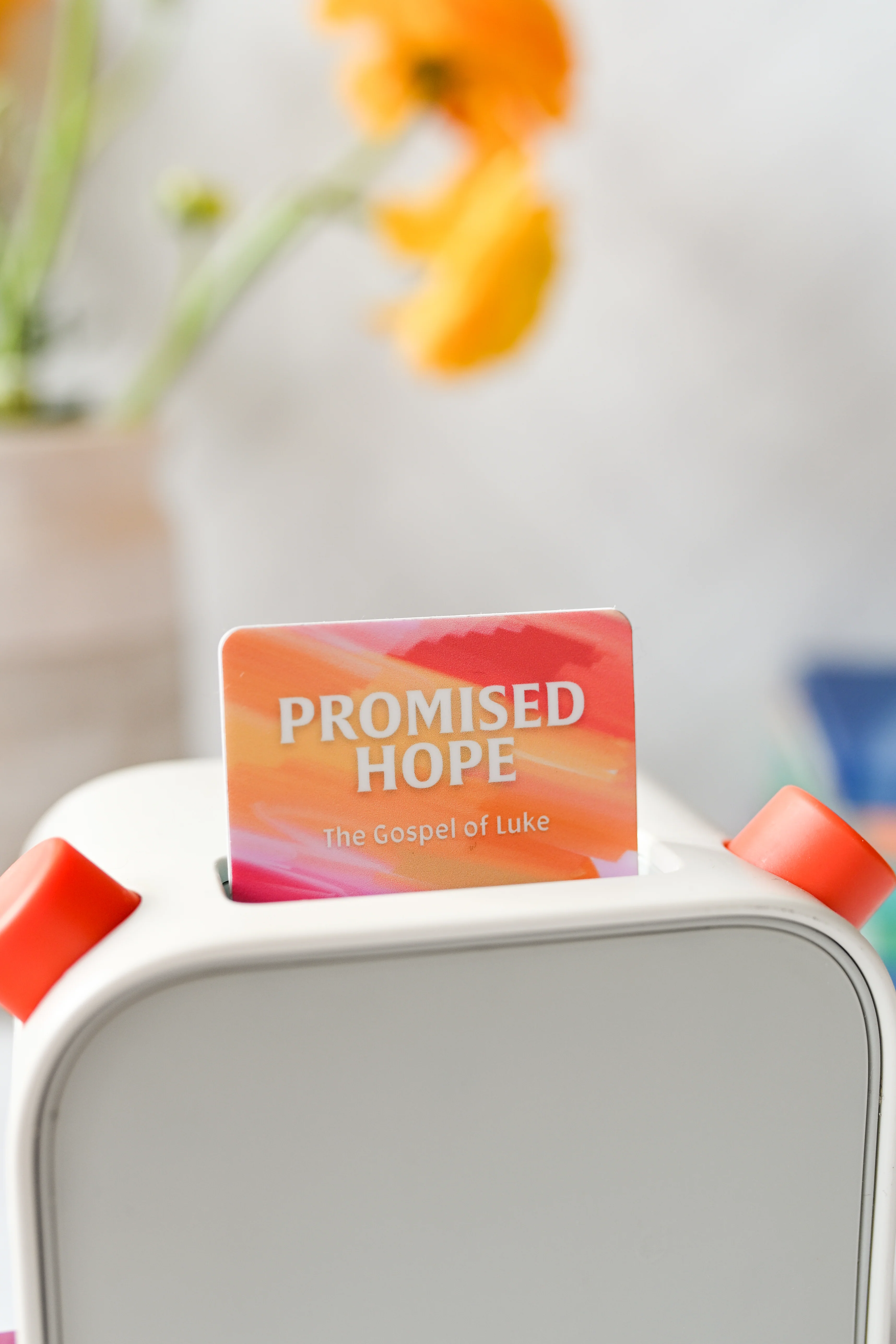 Promised Hope: The Gospel of Luke Yoto Card - Image 5