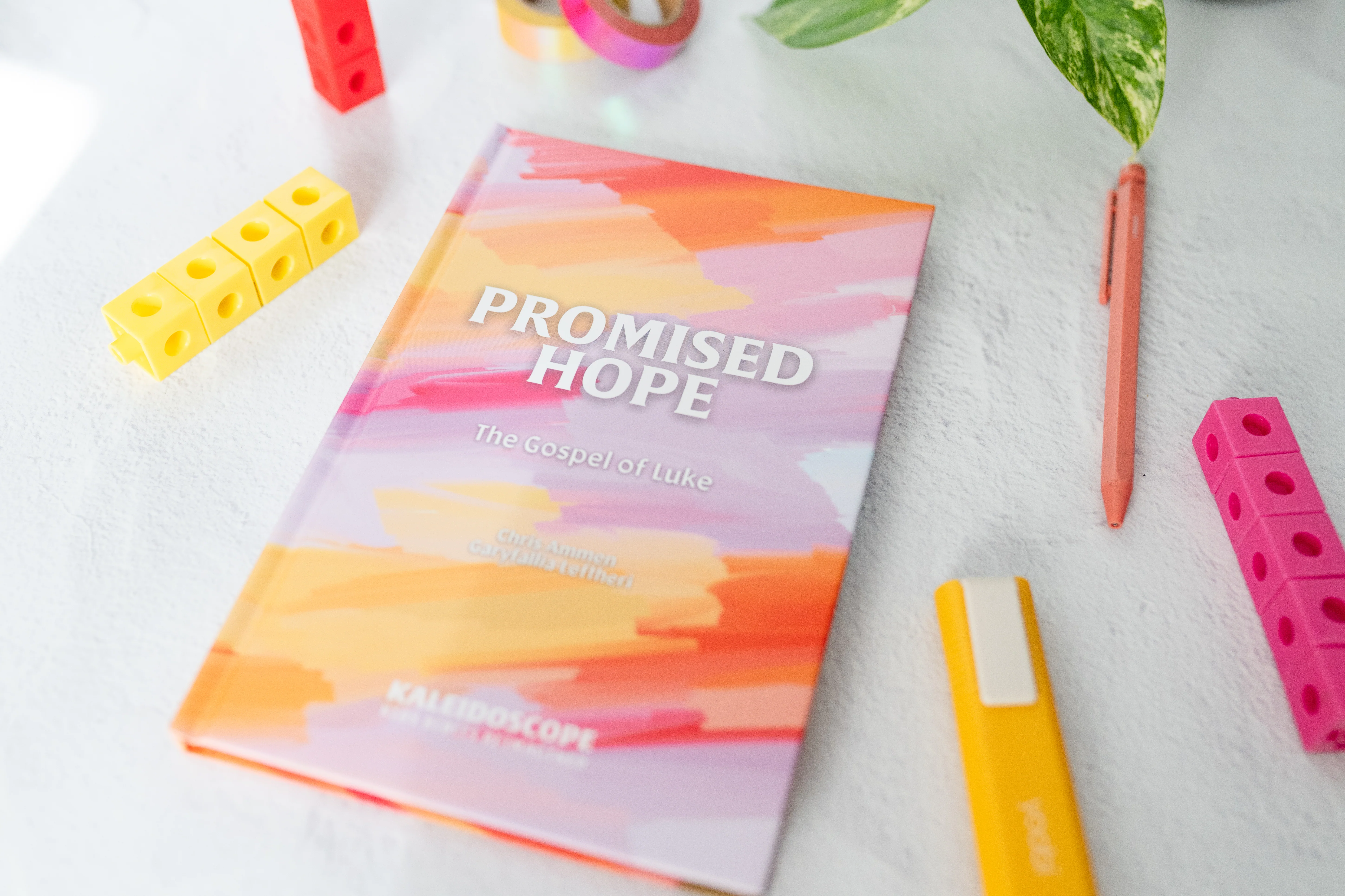 Promised Hope: The Gospel of Luke - Image 5