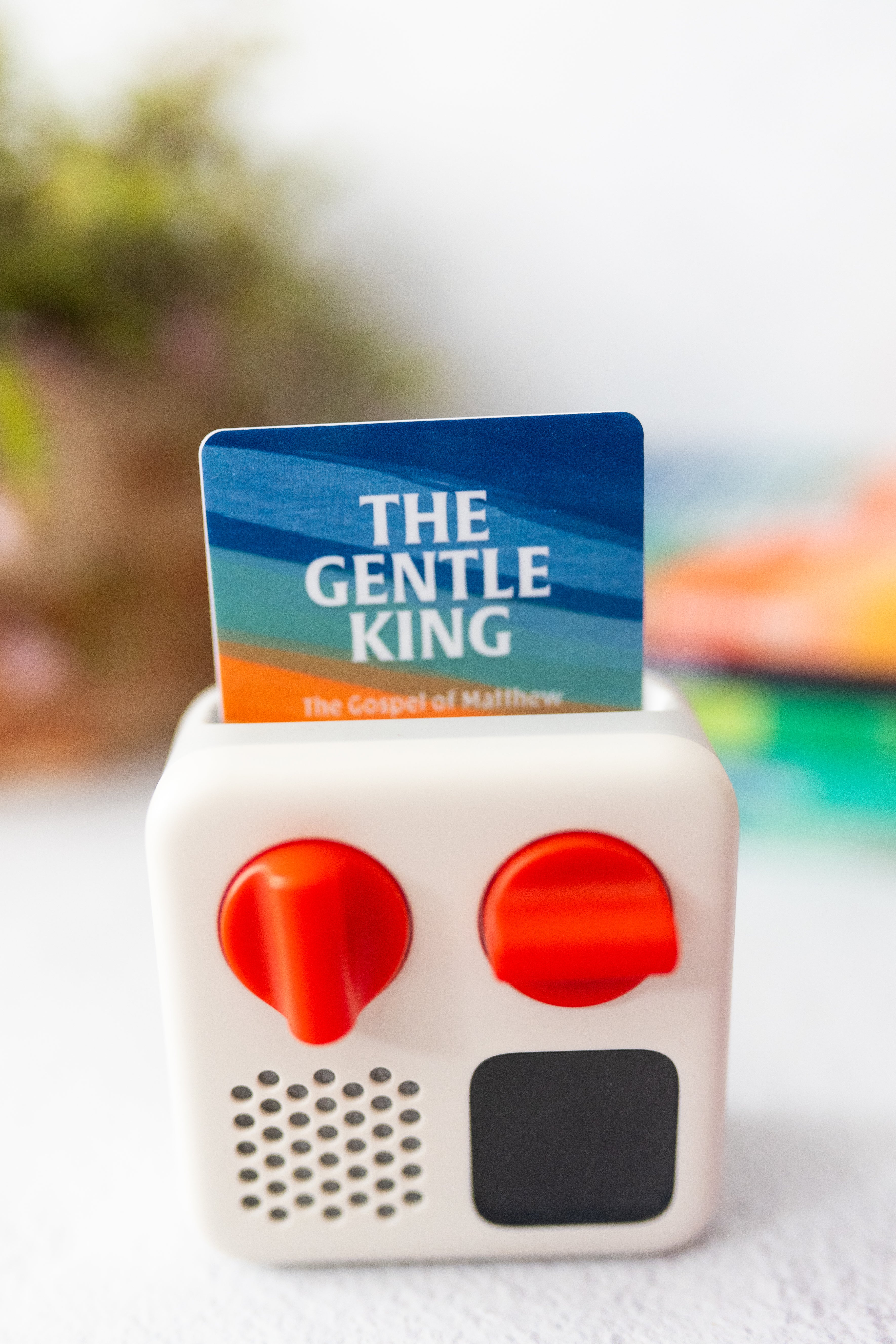 🌟 NEW! The Gentle King: The Gospel of Matthew Yoto Card - Image 4